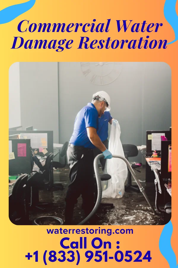 Commercial Water Damage Restoration in Belle Plaine, MN